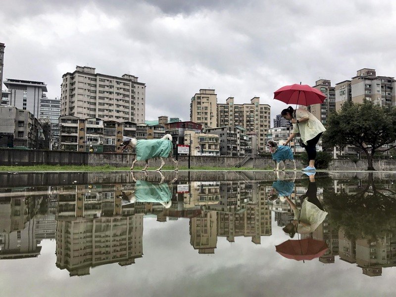 由北往南轉濕轉冷 氣溫溜滑梯