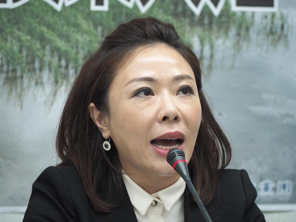 藍盼本週完成總預算案審查  綠：大挑戰