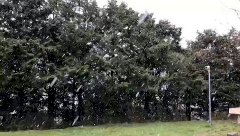 阿里山短暫飄雪降冰霰 旅客又驚又喜