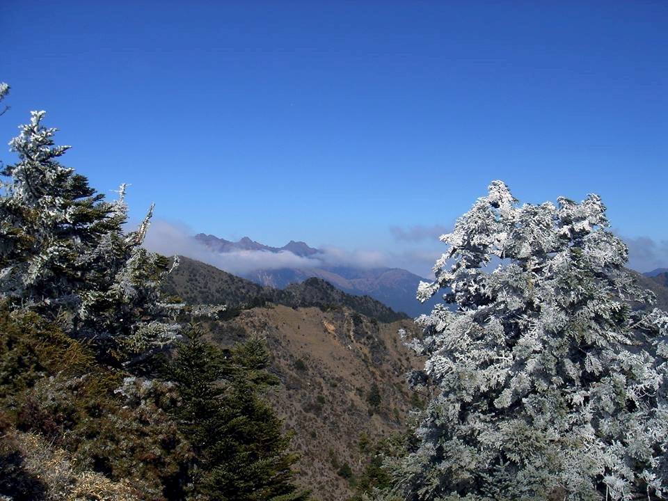 玉山零下13.9度 天氣乾冷未飄雪