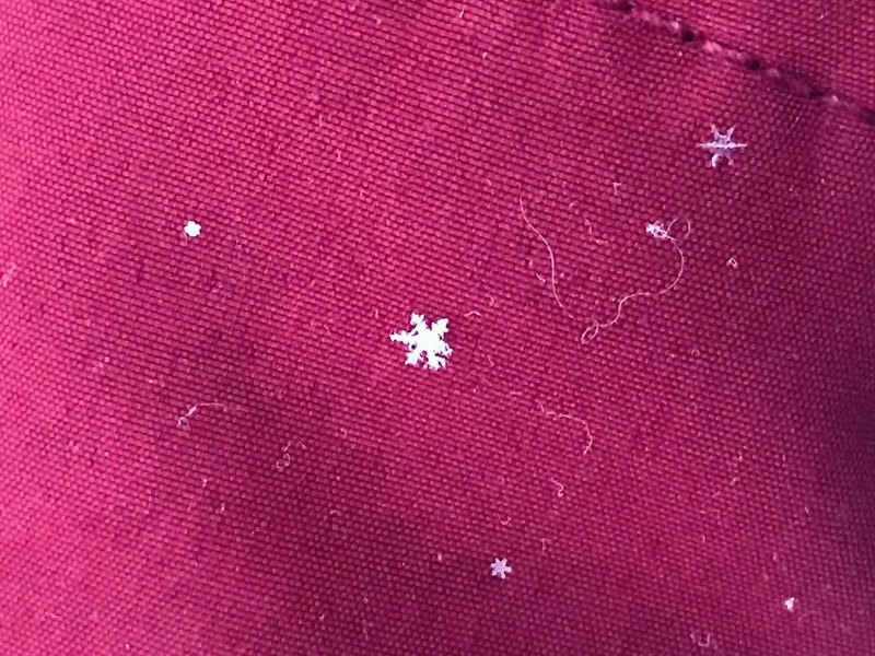 上山追雪先搞懂  雪霰霧淞大不同