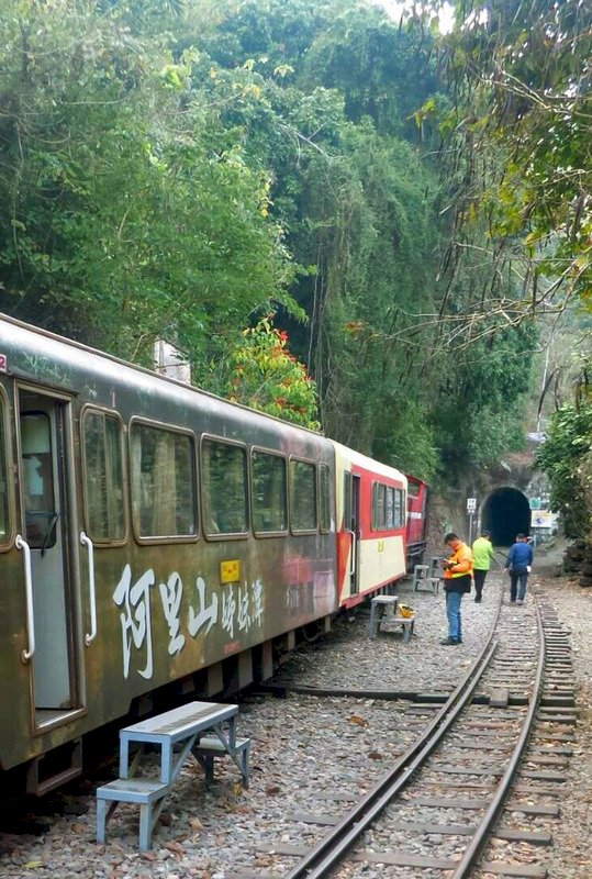 阿里山森林火車出軌 無人受傷