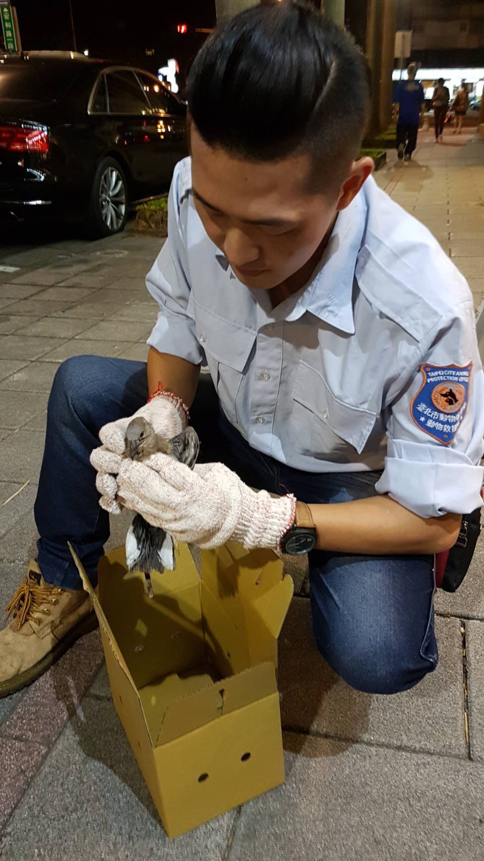 動物友善城市 北市動保處春節服務不打烊