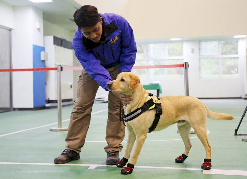 軍犬領犬員  體力愛心是基本條件