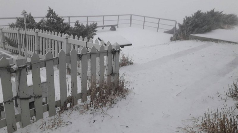 強烈冷氣團今晨報到 玉山飄下春雪