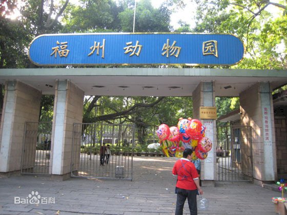 中國遊客丟石頭砸死袋鼠 只為看牠跳
