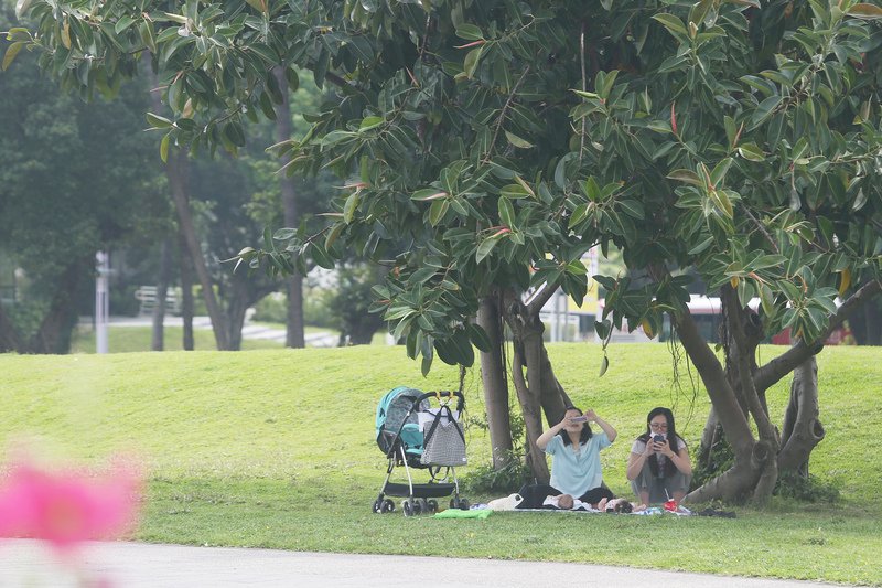 台北午後34.1度 創今年以來最熱紀錄