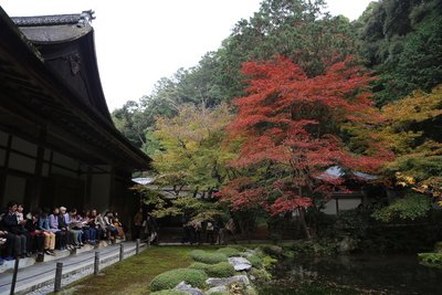 京都賞楓名勝南禪寺現異臭 4人送醫