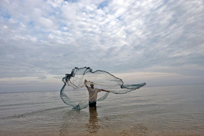 抓大魚放小魚 研究警告舊觀念有問題