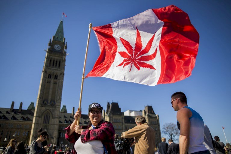 加國大麻合法化在即 大麻釀啤酒搶商機