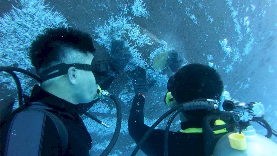 聽到軍艦船體檢視 他們先「跳海」