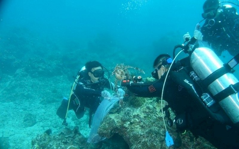 未遭破壞海洋棲息地 恐50年內完全消失