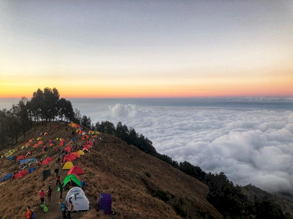 印尼林賈尼火山清出道路 供受困遊客下山