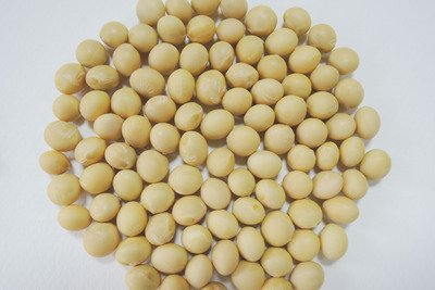 中國大豆王破產 美中貿易戰是最後稻草