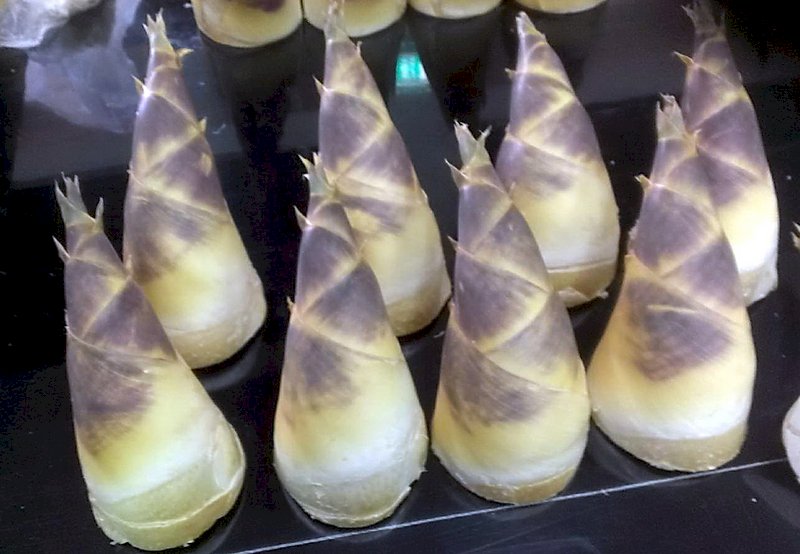 網傳竹筍有劇毒農藥  食藥署：假的