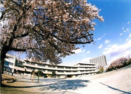東京小學挖出近3千件刀槍手榴彈