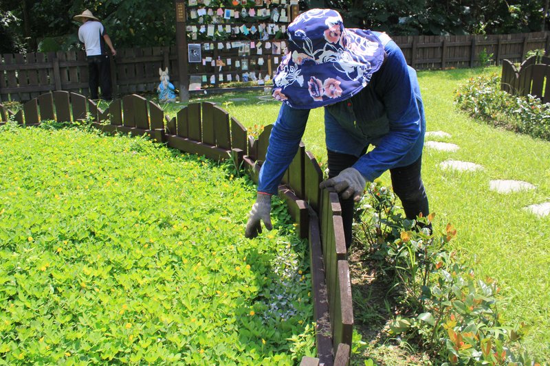 法國死亡人數逐年增 環保葬成新興趨勢