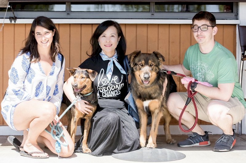 數百隻台灣流浪犬 在美被領養快樂重生