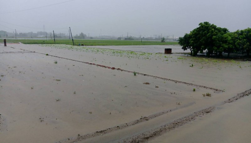 豪雨造成農業損失逾6.5億元 嘉義縣最嚴重