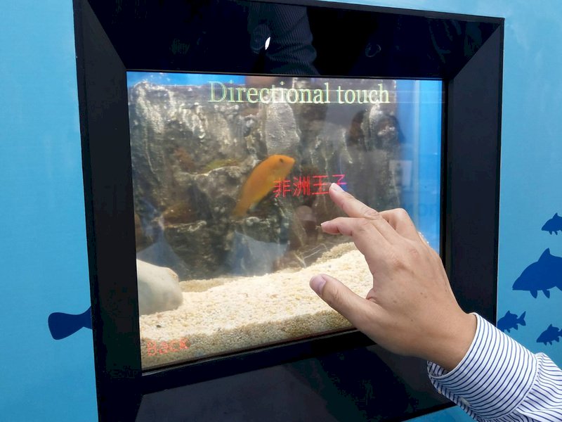 虛實互動顯示技術 魚兒告訴你牠的名字