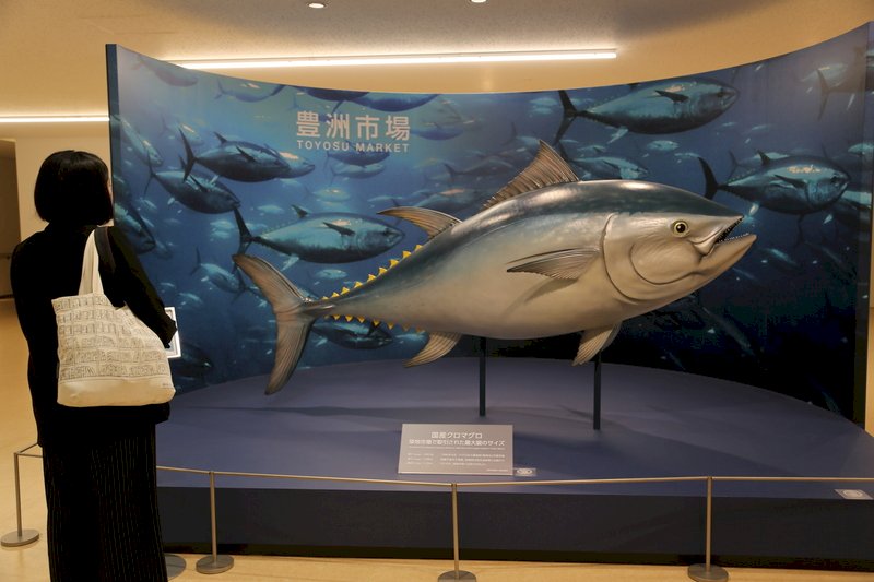 築地市場下月走入歷史 豐洲市場準備接棒