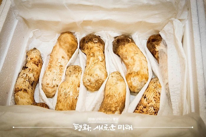金正恩贈2噸松茸 安慰離散家庭思鄉之情