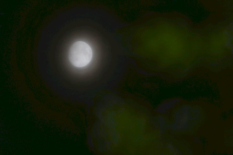 東北風將至 北東月難明