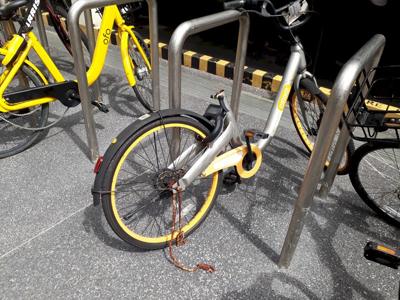 oBike亂象 姚丁質疑柯判斷錯誤、不夠專業