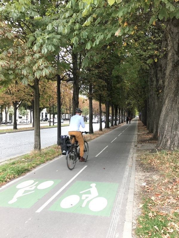 法國人騎單車上下班比例慘輸荷德 將修法提升