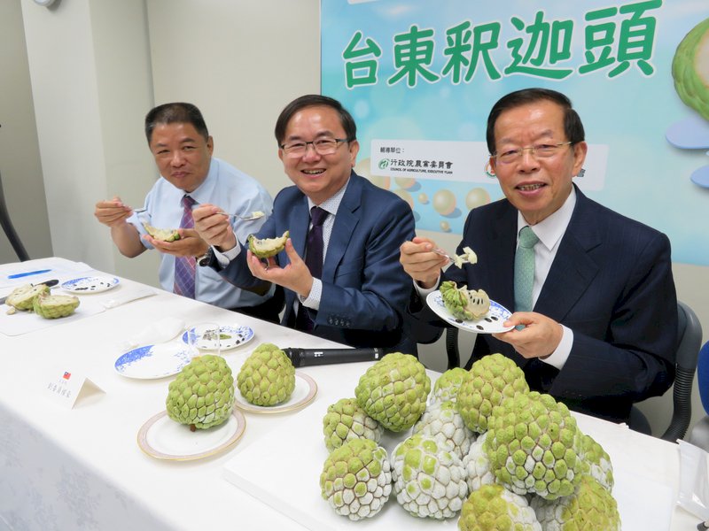 台東釋迦首度銷日 謝長廷說感動快掉淚