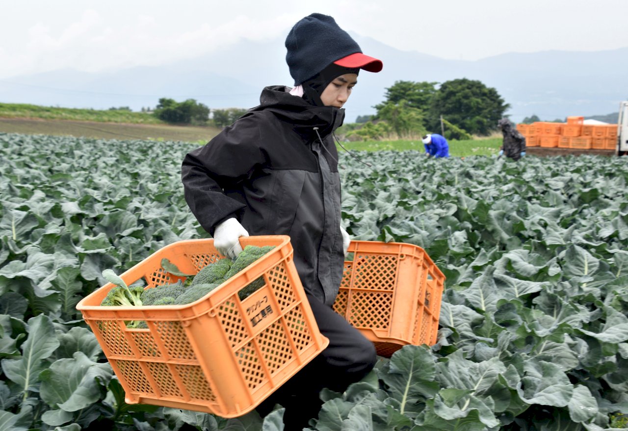 外國人因疫情受困斷炊 日本放寬打工規定