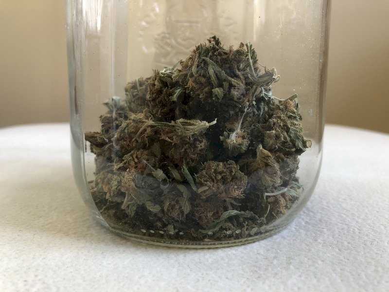 加拿大大麻合法化 媒體稱邁入新紀元