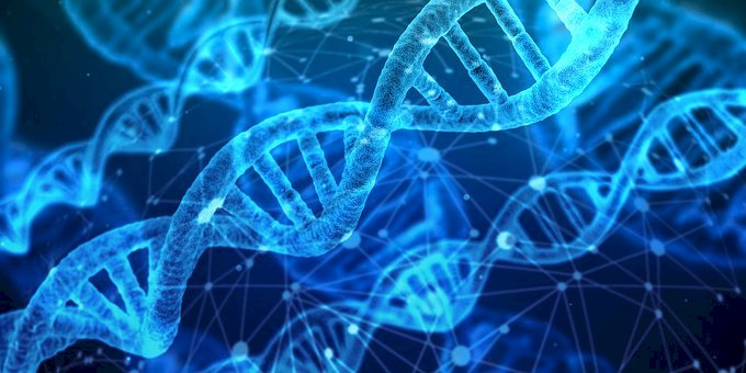 DNA檢測風行美國 學者憂強化種族主義
