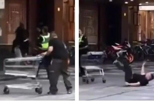 阻孤狼攻擊 澳洲手推車俠因舊案遭起訴