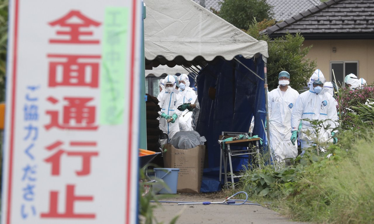 非洲豬瘟疫情擴大 日本機場相繼驗出病毒