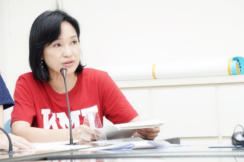 傳將徵召柯志恩參選高雄市長 藍營中生代肯定