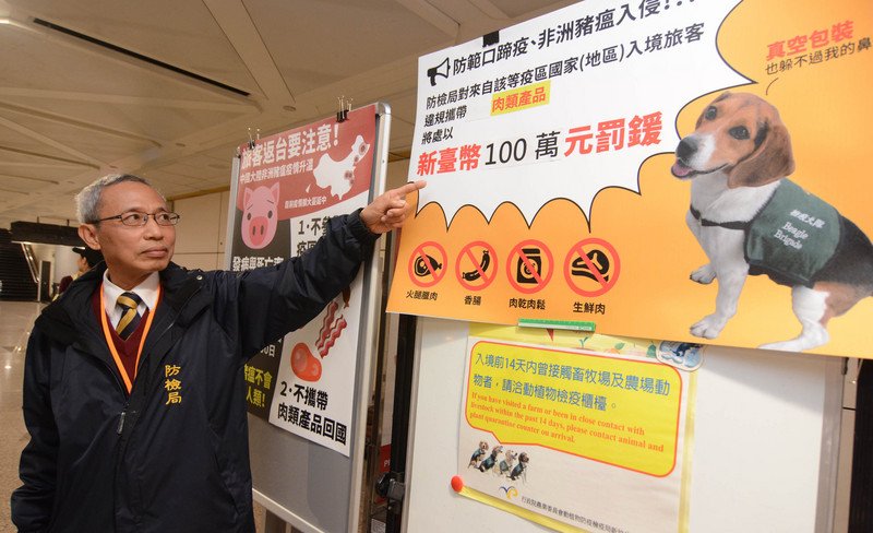 「非洲豬瘟」懶人包