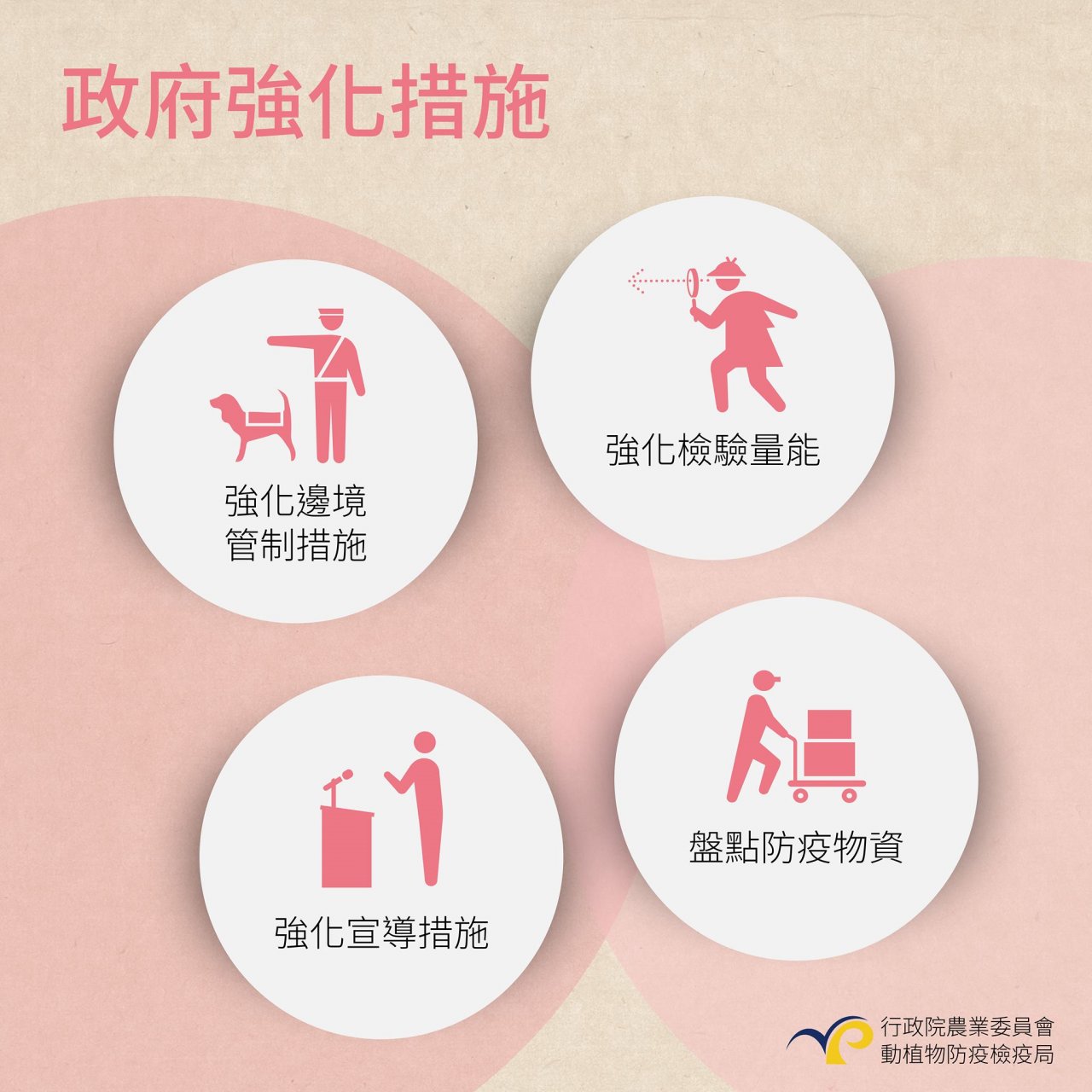 防非洲豬瘟 賴揆指示農委會成立應變中心