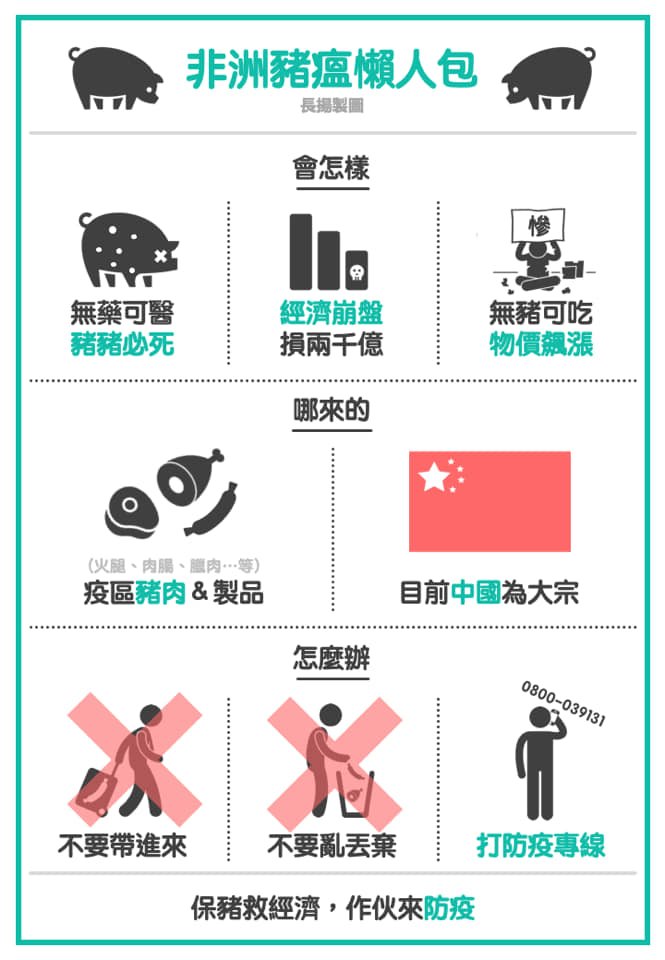 非洲豬瘟懶人包  民間版暴紅