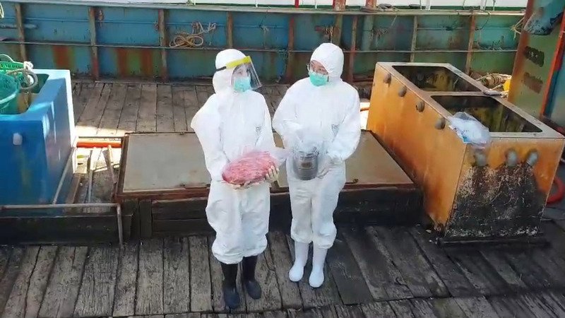 防疫於境外 海巡銷毀越界中國船隻生豬肉