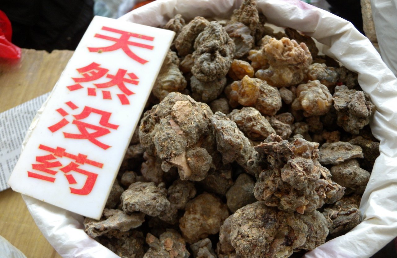 防堵中國的不只豬瘟！衛福部設三高牆確保進口中藥材安全性