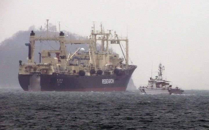 日本擬擴大商業捕鯨名單 大型長鬚鯨將被納入