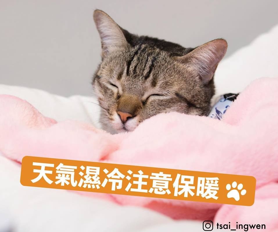 元旦假期開始 總統院長愛的小叮嚀