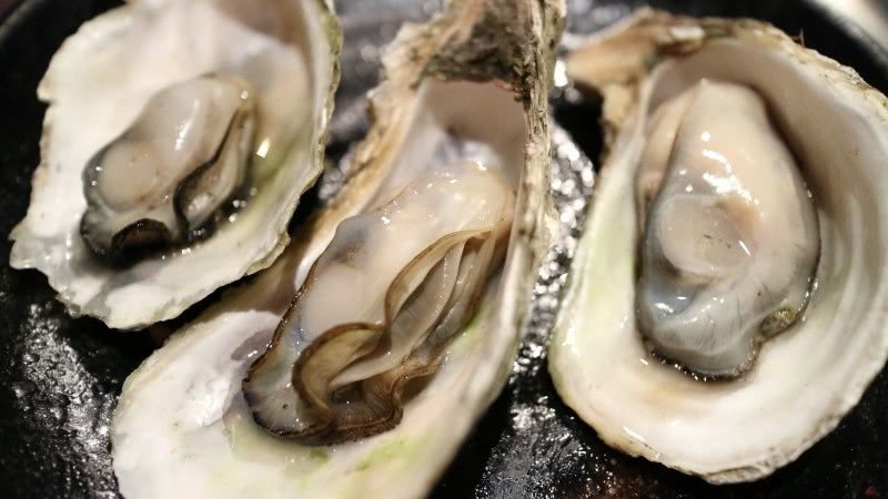 氣候變遷危及美食 法牡蠣業憂心忡忡