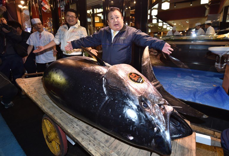 日新年黑鮪魚競標 創3億日圓天價