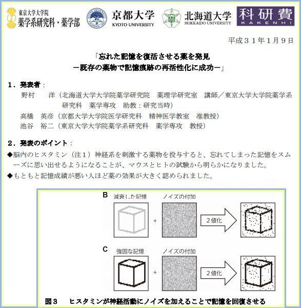 抗暈眩藥或許有助恢復記憶 日學者研究有成