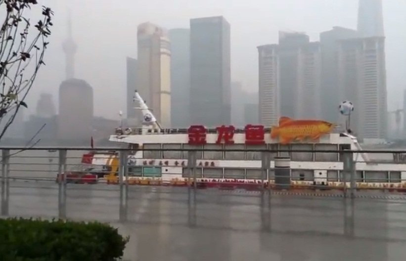 上海雨不停 有些地方今年還沒見到太陽