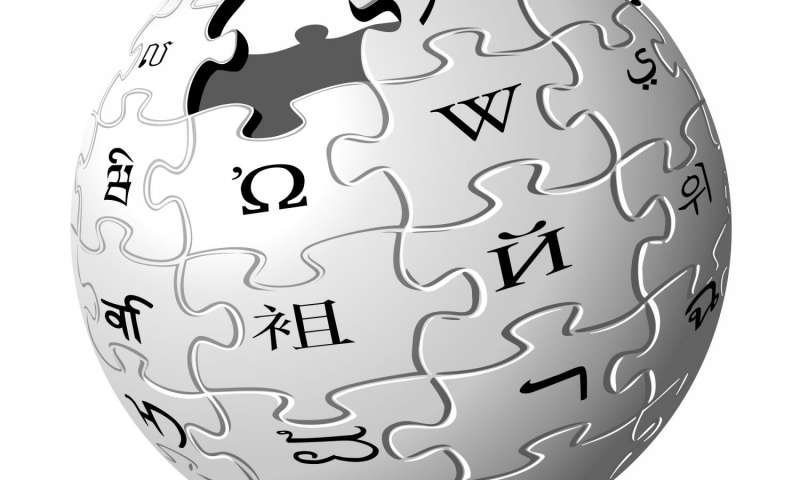 維基百科18歲 在中國處境依舊艱辛