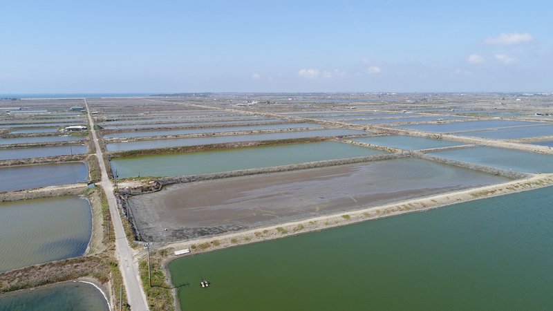 Google買台灣綠電  總統：有決心發展再生能源