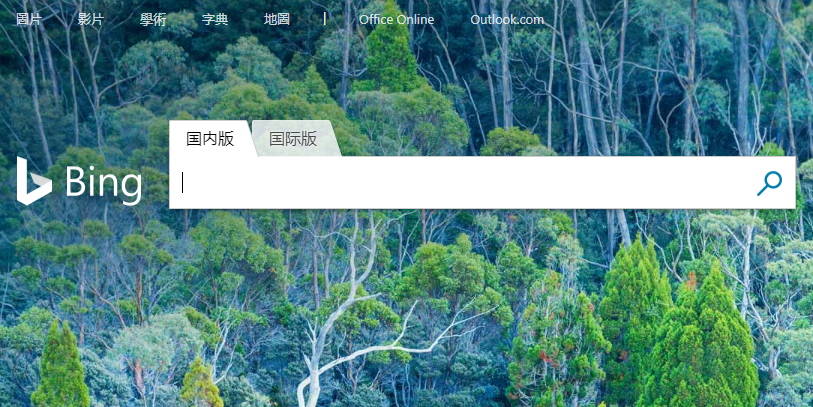 Bing中國異常 消息人士：技術錯誤